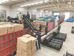 新疆生產建設兵團 師市動態 引得 鳳凰 繞新城