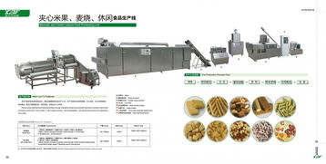 新款休閑膨化食品生產設備